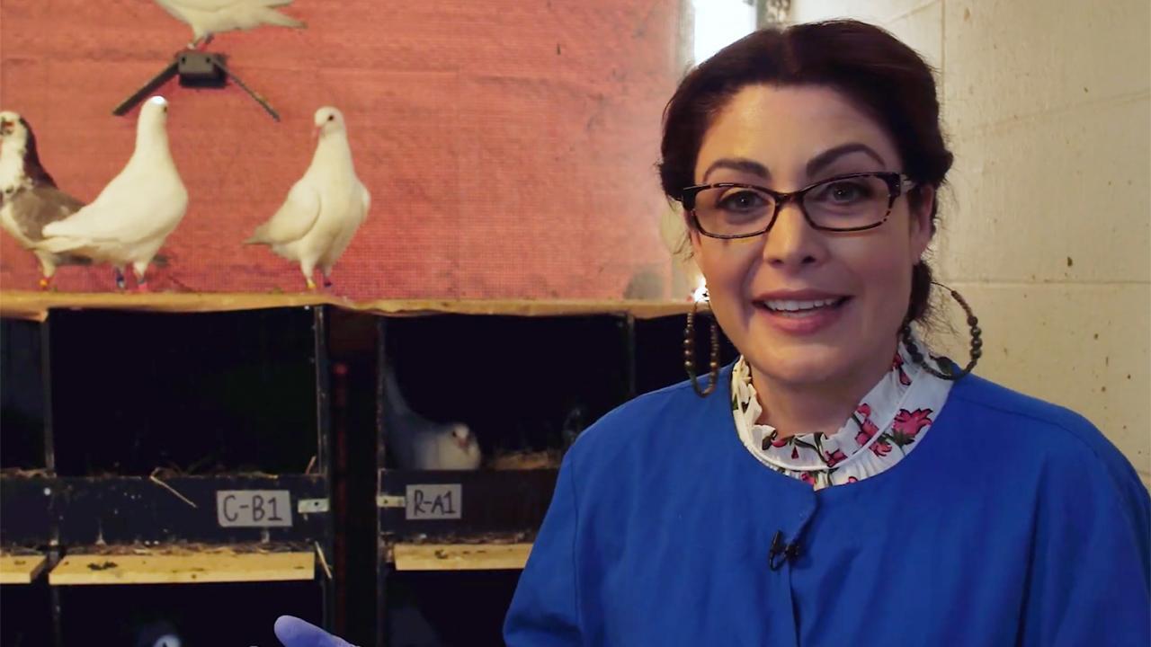 Assistant Professor Rebecca Calisi Rodríguez