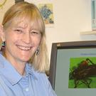 Ann  Hedrick